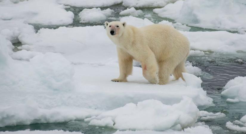 Sokkoló gyorsasággal melegszik az Északi-sark vidéke