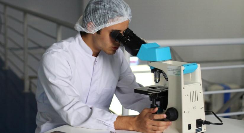 Először alkottak tudósok “szintetikus embriót”