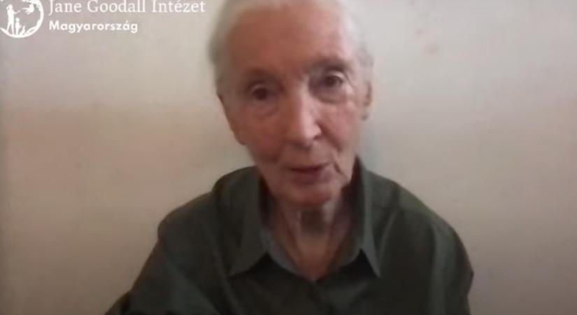Tűzifarendelet: Jane Goodall is a veszélyekre figyelmeztet