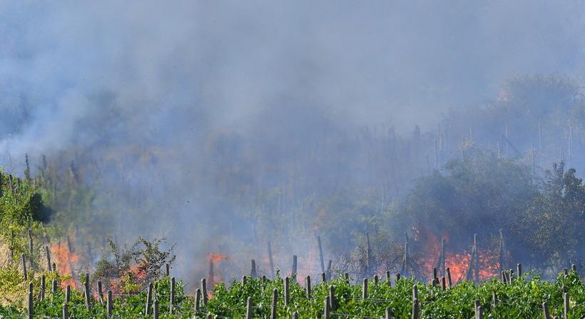 Továbbra is lángokban áll Pozsonyban a növényzet, lezárták az utakat is