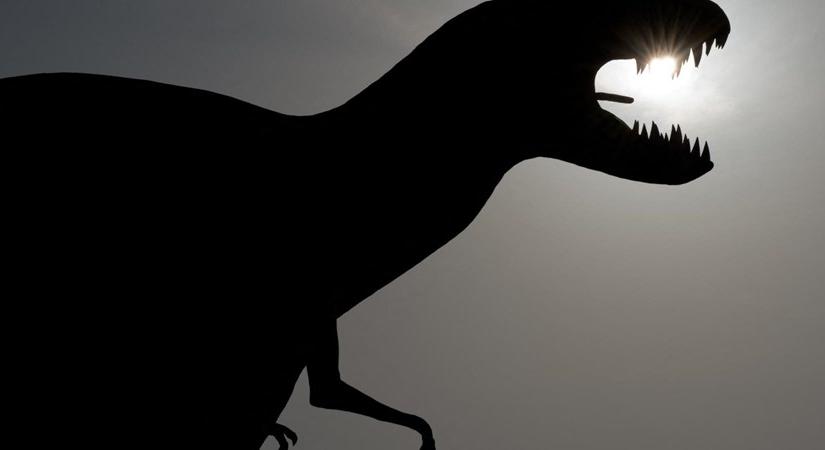 Új dinoszauruszfajt fedeztek fel Argentínában