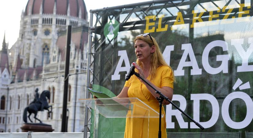 „Álságos a polgármester asszony megnyilvánulása” – fideszes képviselő a zöldpolitikus fakivágásáról