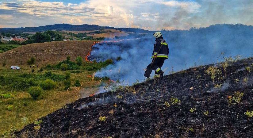 Több mint 75 hektáron pusztított a tűz megyénkben + fotók
