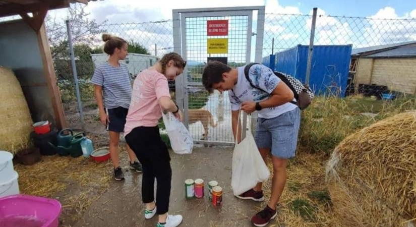Az egri diákok és az Ifi Pont is adományoztak az állatmenhelynek