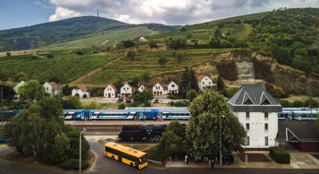 Tokajbusszal és napijeggyel "borongolhatjuk" be a világörökségi borvidéket