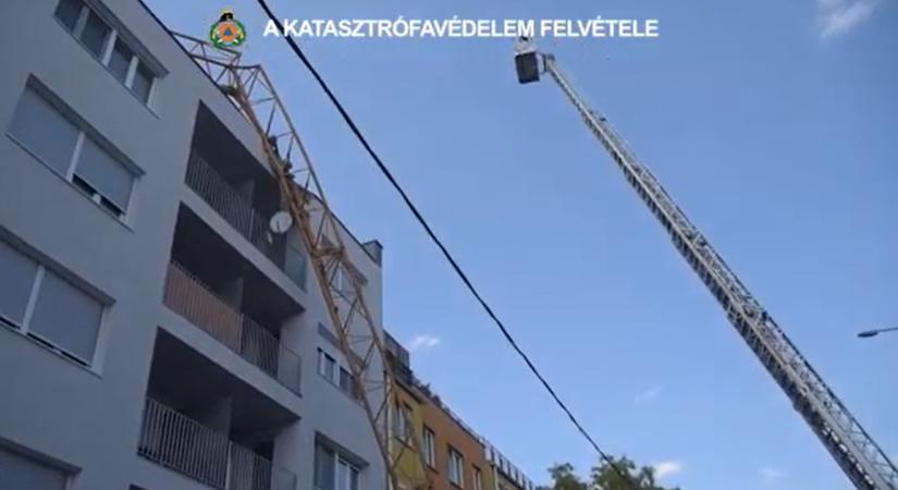 Videó: Toronydaru dőlt egy társasházra a XIII. kerületben, durva pusztítást végzett