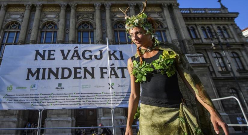 Ne bántsd, az erdőt, ne bántsd a fát! – Ezres tömeg a zöld szervezetek tüntetésén