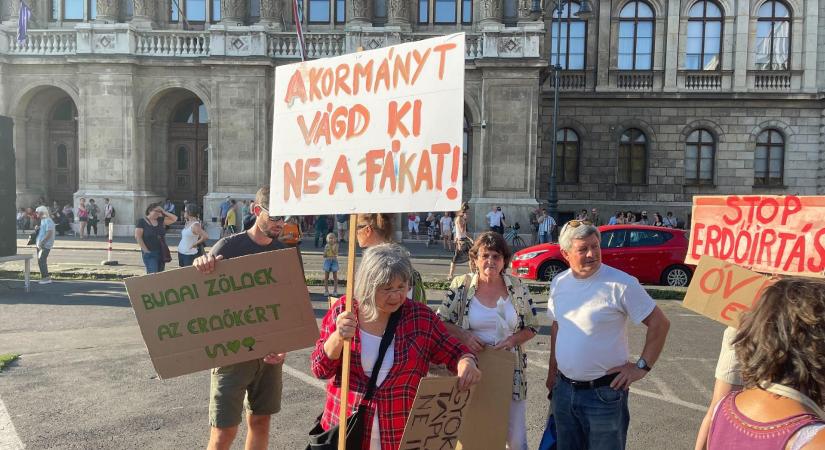Az erdőírtás ellen tüntettek a Széchenyi téren