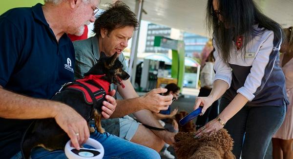 Újabb Mol-töltőállomásokon található ingyenes kutyachip-leolvasó