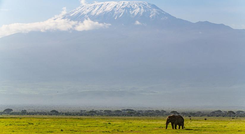 Mostantól a Kilimandzsárón is szélessávú internettel lehet instázni