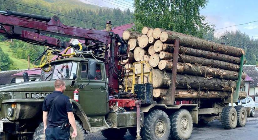 Újabb illegálisan kivágott fát szállító teherautót állítottak meg Kárpátalján