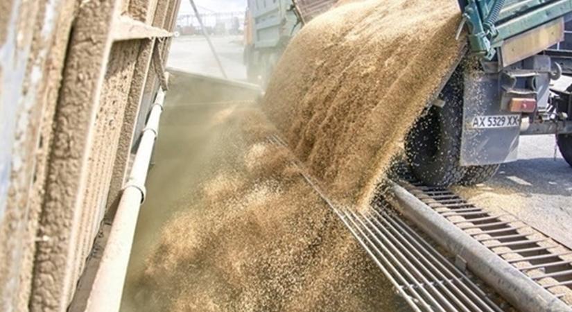 Mintegy 0,5 millió tonna gabonát exportáltak a fekete-tengeri folyosón keresztül