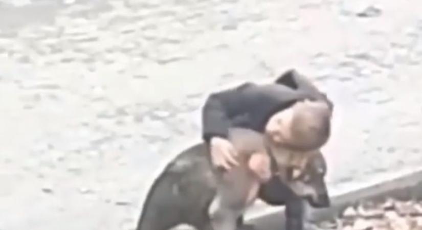 Mennyire aranyos ez a kisfiú, aki kóbor kutyákat ölelget! – videó