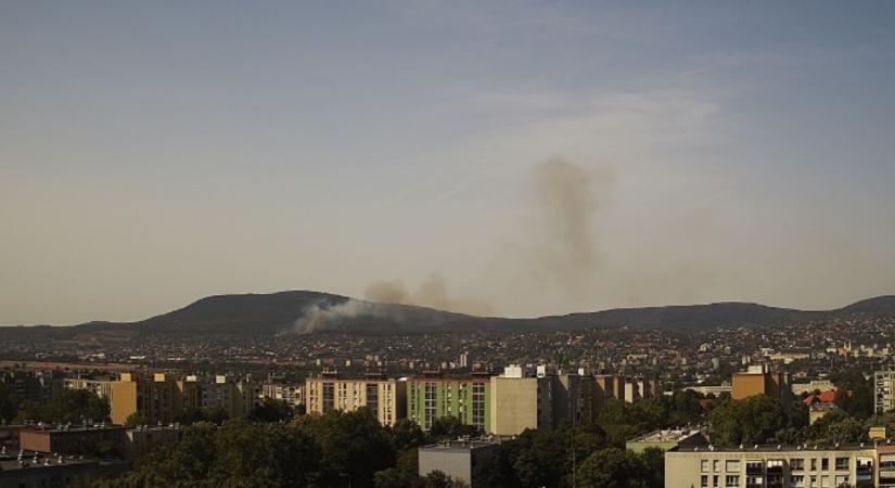 Tűz ütött ki Pécsen, a Mecsek lábánál