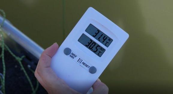 Ismét 30 Celsius-fok feletti értéket mértek a Duna paksi szakaszán