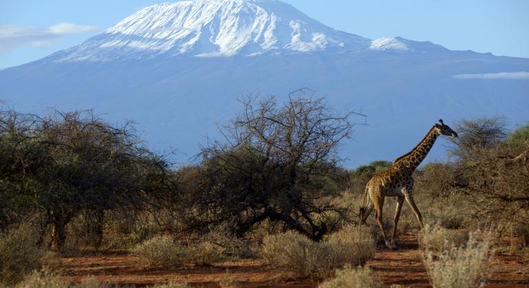 Lehet élőzni a hegymászást is: új nethálózatot kapott a Kilimandzsáró