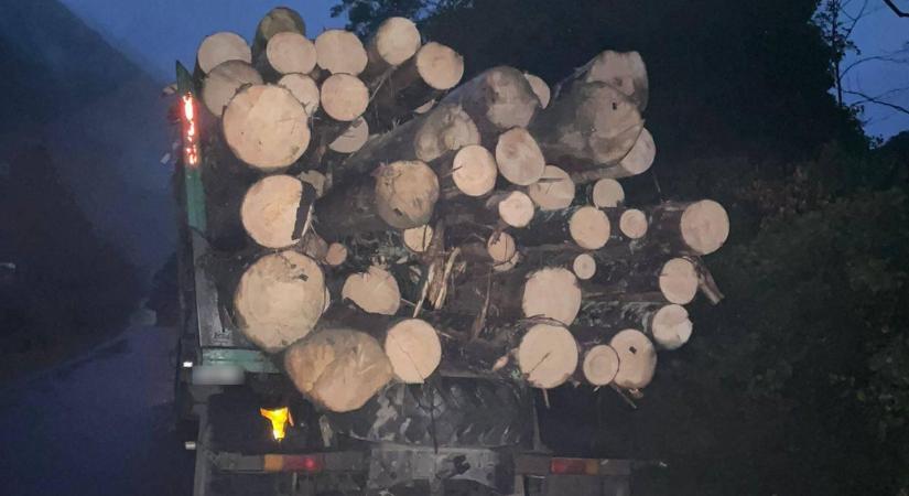 Újabb illegálisan kivágott fát szállító teherautót foglaltak le a Técsői járásban