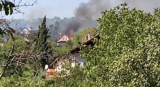 Három ház leégett Pécsen a mecseki tűzvészben, 120 tűzoltó oltja a lángokat