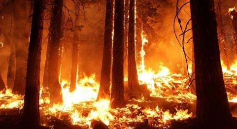 Több mint száz tűzoltó oltja a lángokat Pécsett