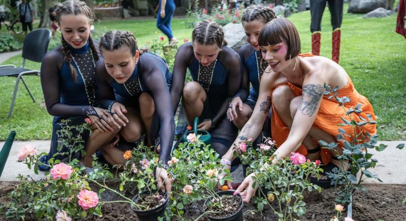 Virágokat ültettek Debrecenben a béke és összetartozás jegyében