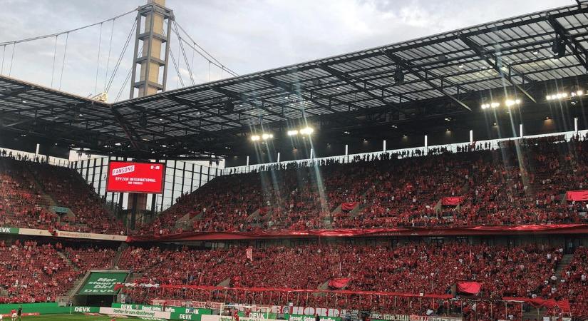 Ekl: 1. FC Köln–Mol Fehérvár mérkőzés élőben az NSO-n!