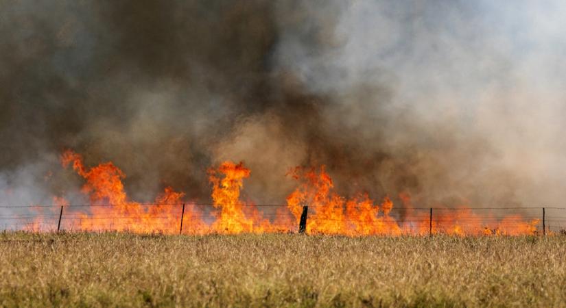 Hatalmas tűzvész tombol Pest megyében is: 50 hektár lángol az aljnövényzet, mi lesz ebből?