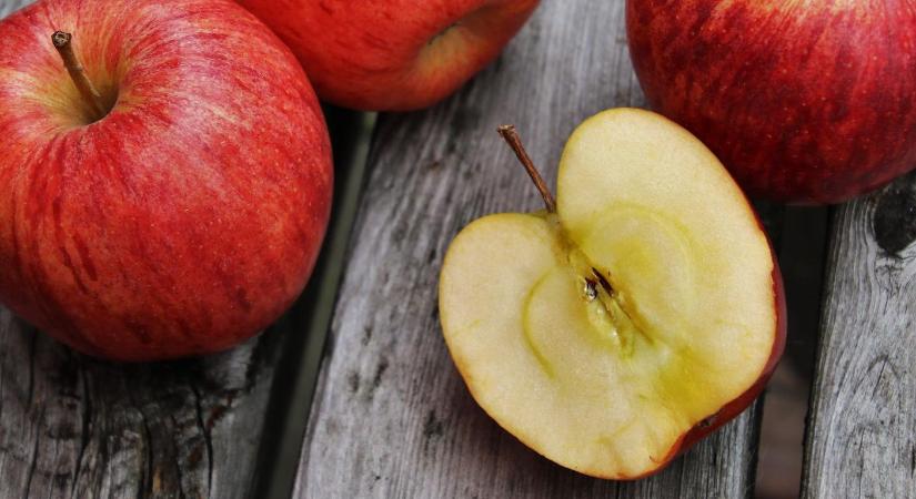 Jó almatermés várható Észak-Németországban