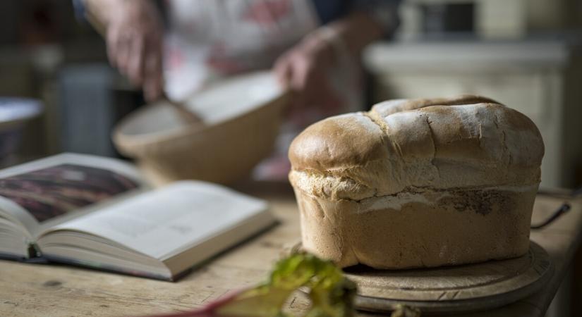 Mennyit spórolunk, ha otthon sütjük a kenyeret?