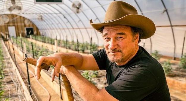 James Belushi visszavonult a színészettől – Marihuánát termeszt az oregoni farmján