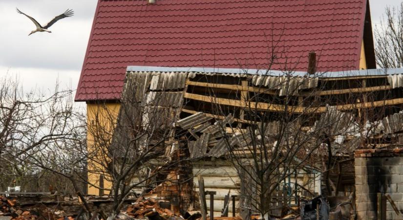 Megható a gólyák sorsa a lerombolt ukrán városrészben