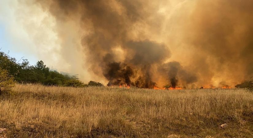 Újra erőre kapott a legnagyobb idei magyarországi tűz, ezer hektár áll lángokban Pest megyében