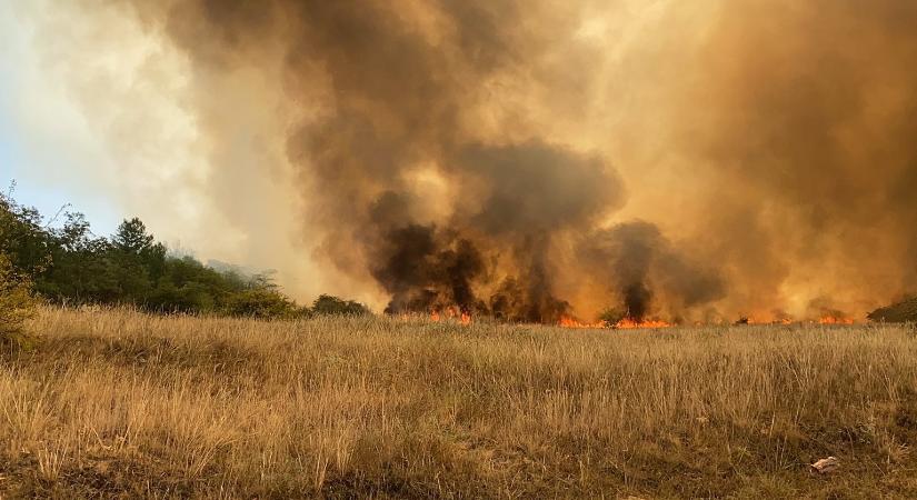 Továbbterjedt az év legnagyobb tüze Tatárszentgyörgynél