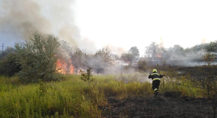 Négy település tűzoltói siettek Tatabányára: kigyulladt az aljnövényzet