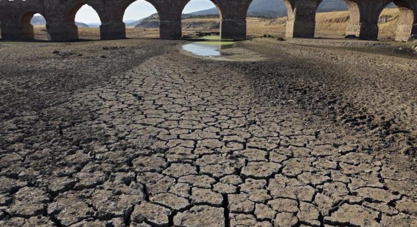 Egész Európát fojtogatja az aszály, a talaj legfelső rétegéből sok helyen eltűnt a víz