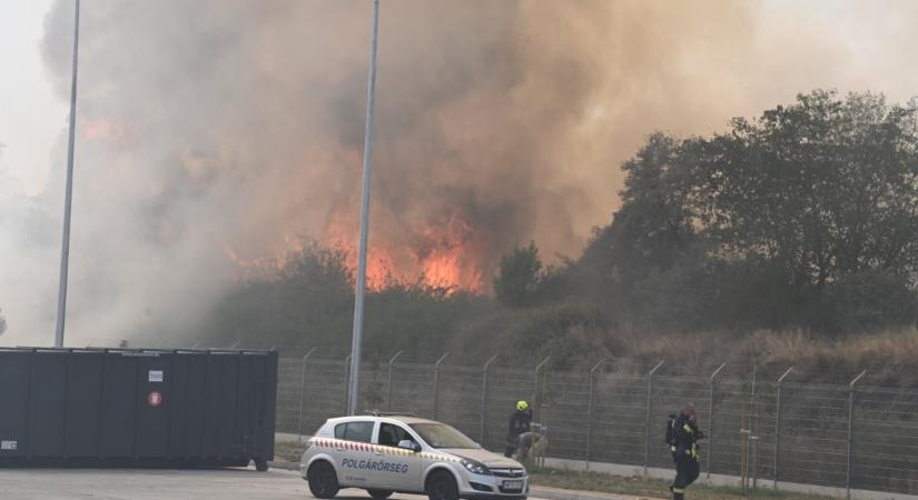 Hatalmas tűz ütött ki a XVIII. kerületben