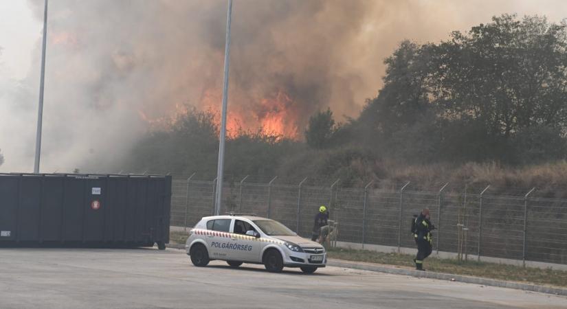 Ötvennyolc hektár lángolt Budapesten