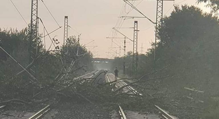 Fa dőlt a sínekre, a vonat közlekedést is akadályozza a vihar