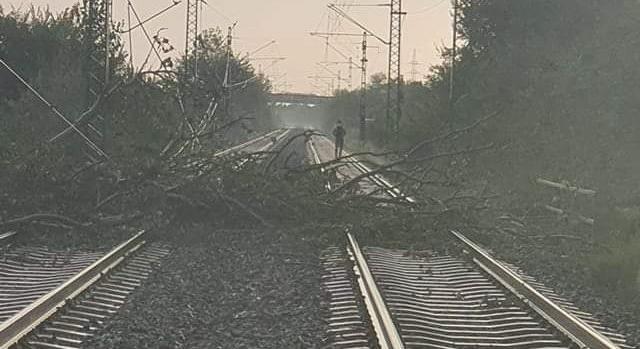 Fát döntött a vihar a vasúti pályára Fejér megyében