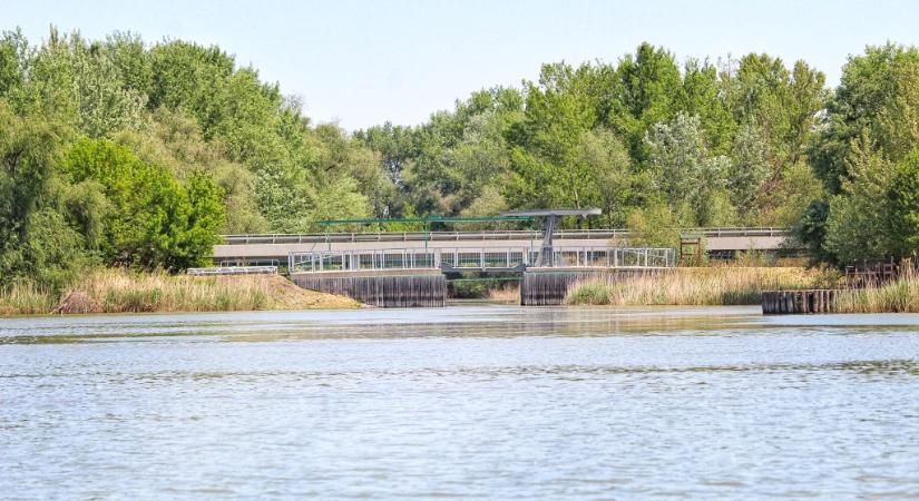 Vízhiánnyal küzdenek a Tisza-tónál is