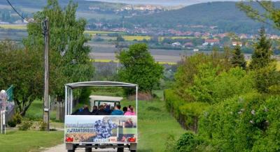 Indul az ingyenes Kékfrankos Expressz a Soproni borvidéken