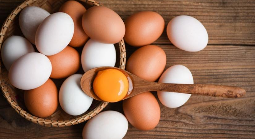 Brutális, mi történik a testeddel, ha soha többé nem eszel tojást: drámai változásokat figyelhetsz meg
