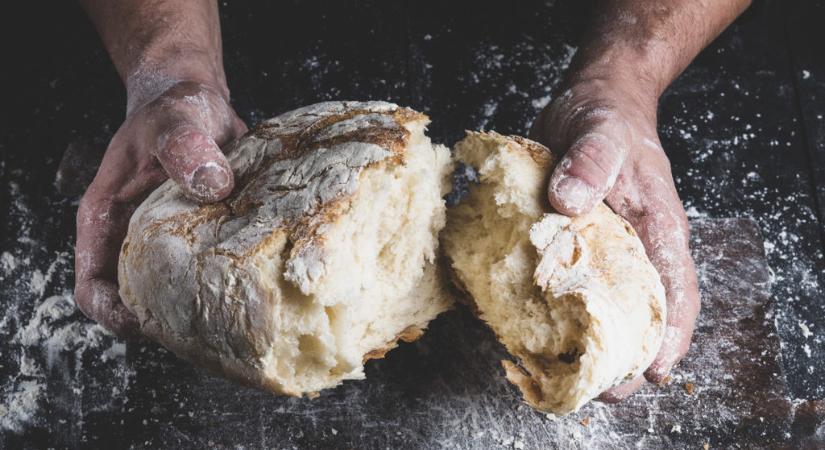 Tudsz kovászos kenyeret sütni? 650 ezer nettóért tiéd lehet ez az állás!