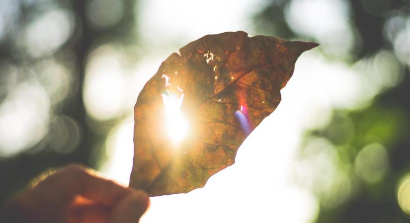 Itt az ősz, de mégsem: visszatér a hőség – Mutatjuk, mikor tetőzik