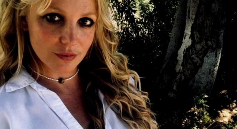 Britney Spears visszatért, és teljesen meztelen - fotó