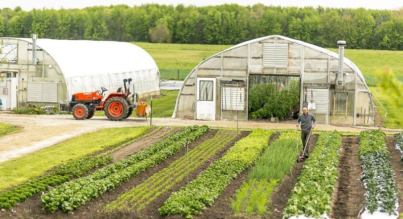 Mezőgazdasági kisüzemek fejlesztése