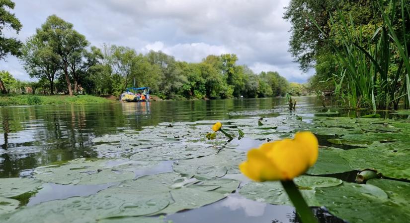 Undorító, mi úszott a Bodrogban: ennyit arról, hogy Magyarország a vizek országa