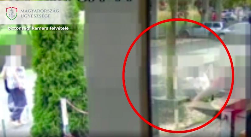 Kamera rögzítette: vádlin harapott egy rendőrt egy ittas férfi Debrecenben