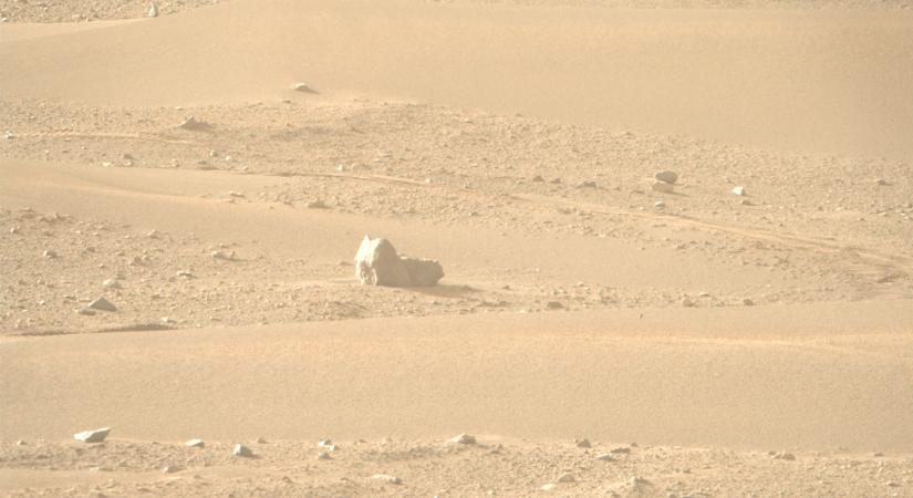 Macskaszerű követ fotóztak a Marson