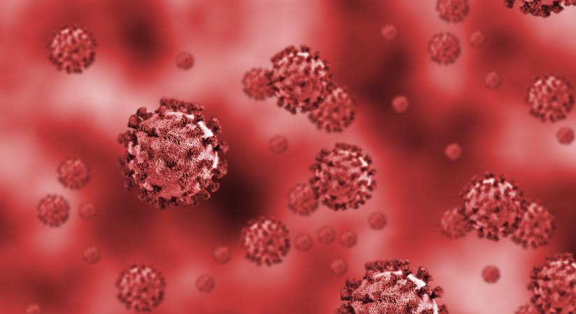 Megszólalt a WHO vezetője a koronavírus-járvány végéről: lezárul egy korszak?