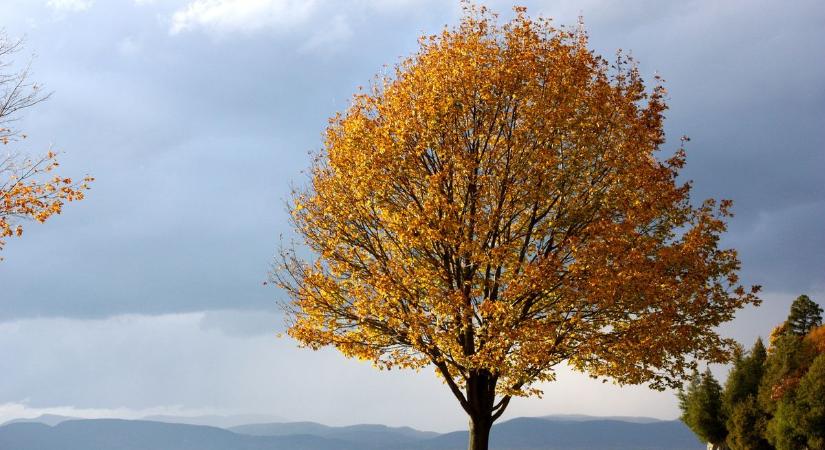 Igazi őszi idő várható csütörtökön Veszprém megyében
